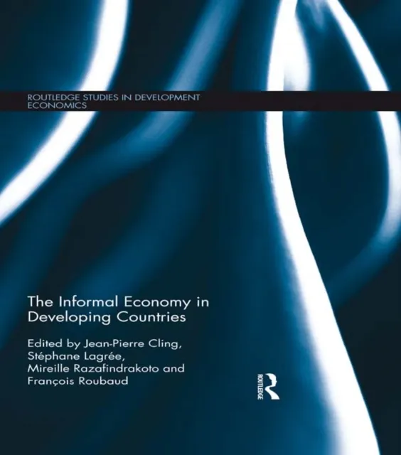 Informal Economy in Developing Countries