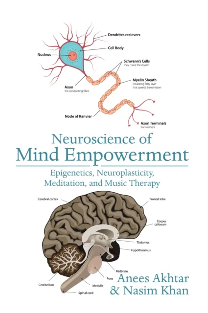 Neuroscience of Mind Empowerment
