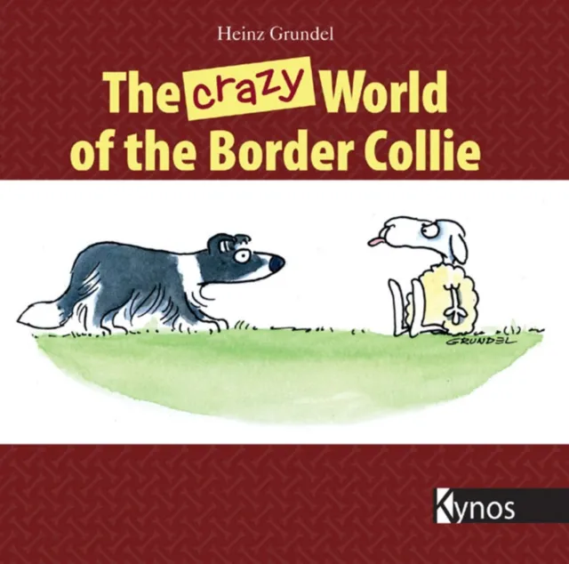 crazy World of the Border Collie