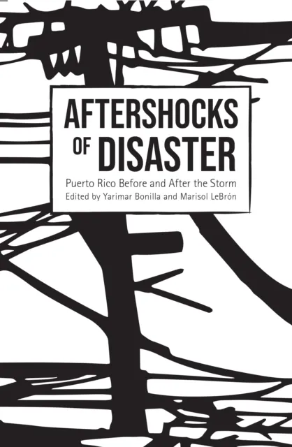 Aftershocks of Disaster