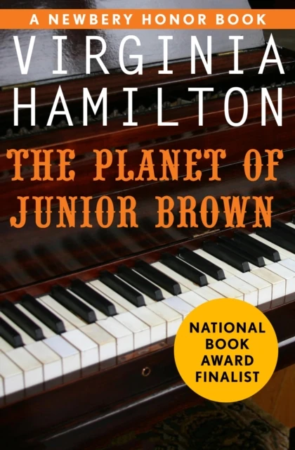 Planet of Junior Brown