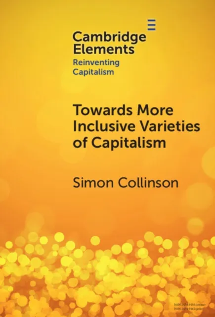 Towards More Inclusive Varieties of Capitalism