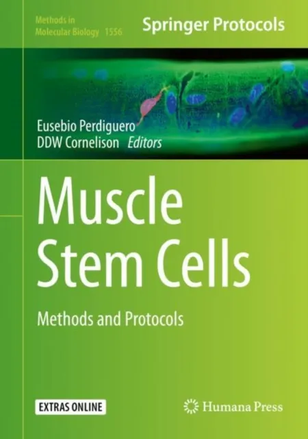 Muscle Stem Cells