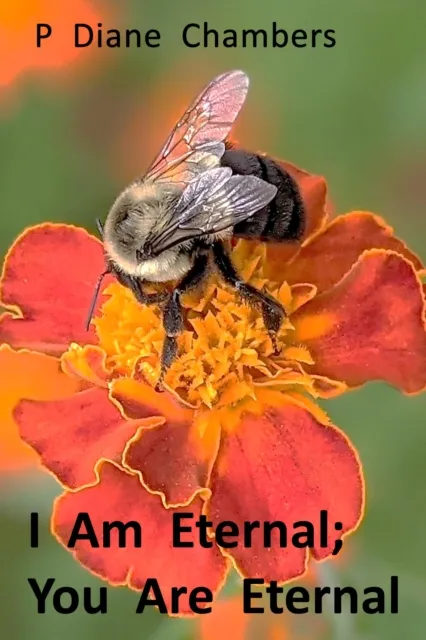 I Am Eternal; You Are Eternal