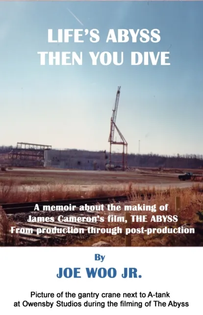 Life's Abyss Then You Dive