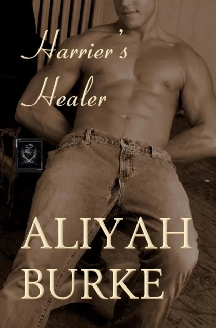 Harrier's Healer: A Steamy Friends to Lovers Military Romance