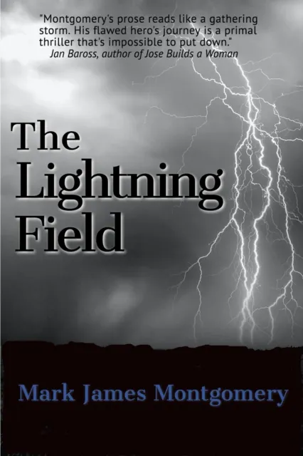 Lightning Field