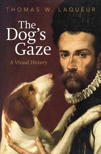 Dog's Gaze