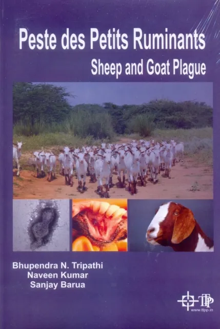 Peste Des Petits Ruminants : Sheep And Goat Plague