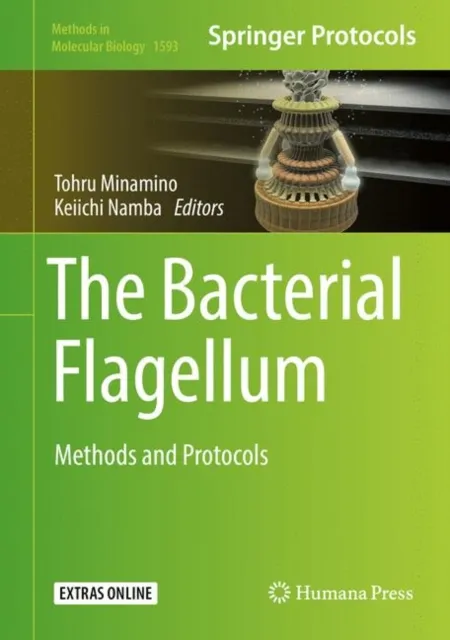 Bacterial Flagellum