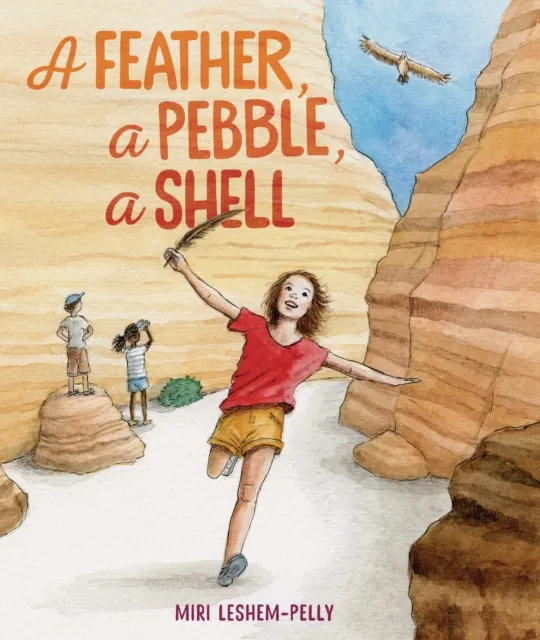 Feather, a Pebble, a Shell