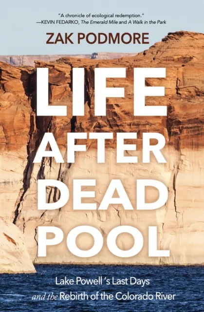 Life After Dead Pool