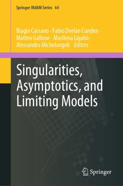 Singularities, Asymptotics, and Limiting Models