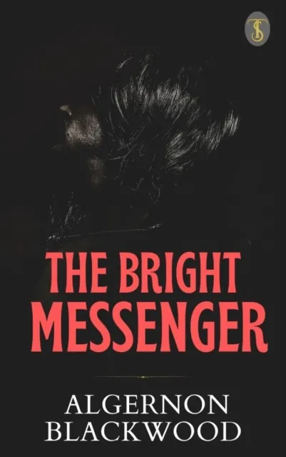 Bright Messenger