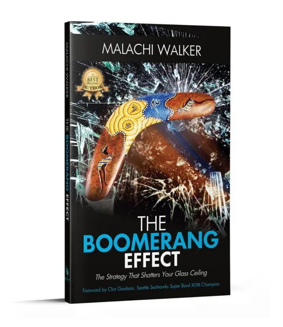 Boomerang Effect: The Boomerang Effect
