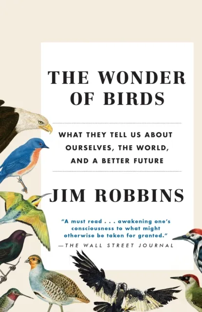 Wonder of Birds
