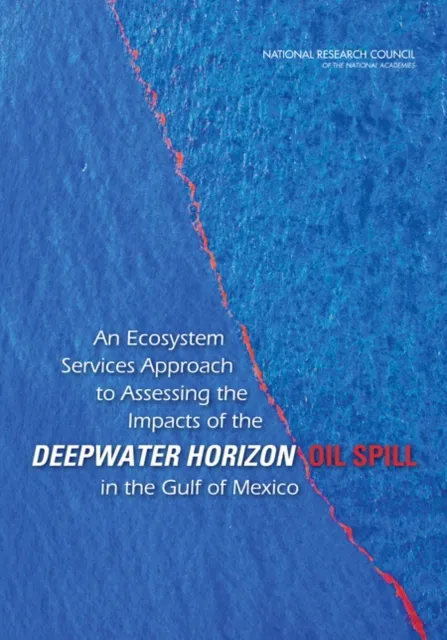 Ecosystem Services Approach to Assessing the Impacts of the Deepwater Horizon Oil Spill in the Gulf of Mexico