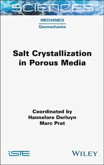 Salt Crystallization in Porous Media