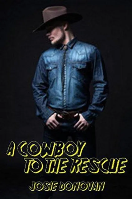 Cowboy To The Rescue