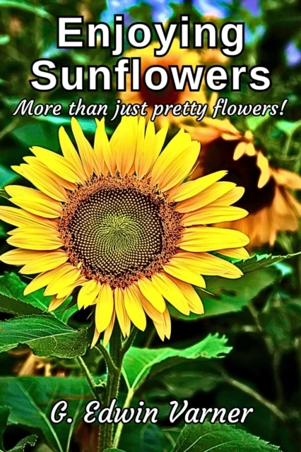 Enjoying Sunflowers: More than just pretty flowers!