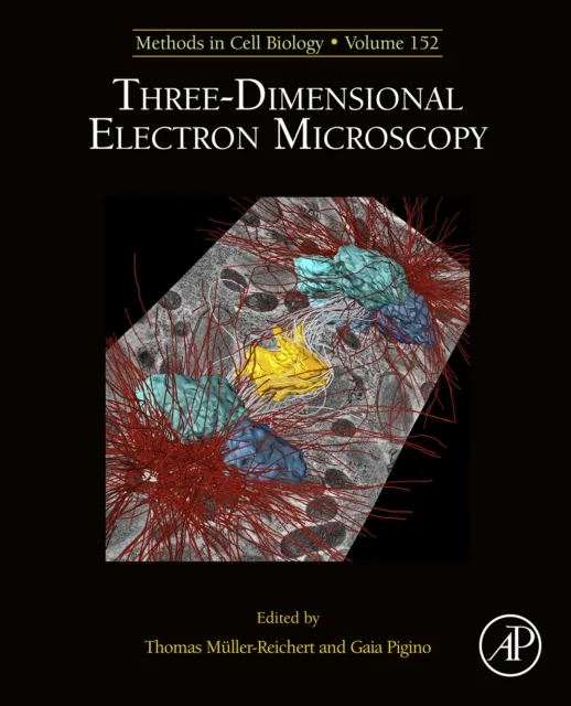 Three-Dimensional Electron Microscopy
