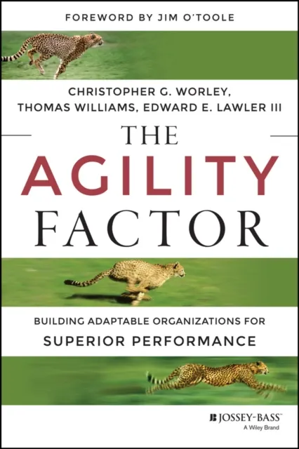 Agility Factor
