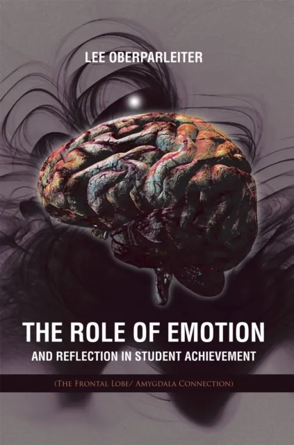 Role of Emotion and Reflection in Student Achievement