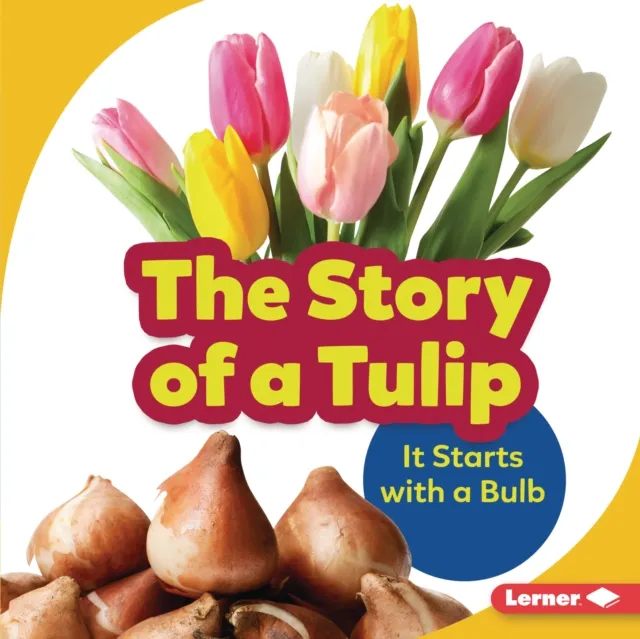 Story of a Tulip