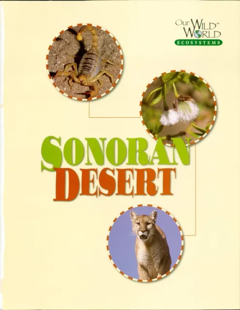 Sonoran Desert