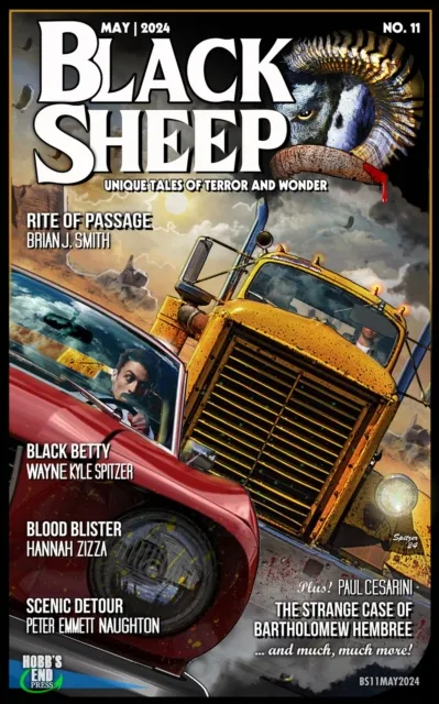 Black Sheep: Unique Tales of Terror and Wonder No. 11 - May 2024
