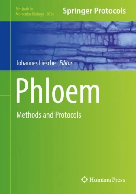 Phloem