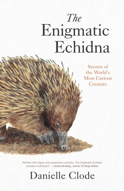 Enigmatic Echidna