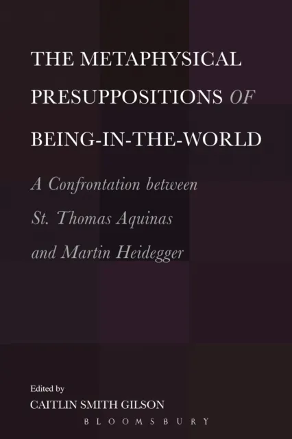 Metaphysical Presuppositions of Being-in-the-World