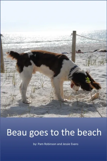 Beau Goes to the Beach.