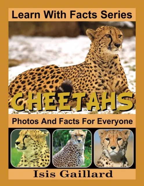 Cheetahs Photos and Facts for Everyone