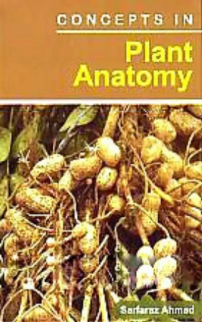 Concepts In Plant Anatomy