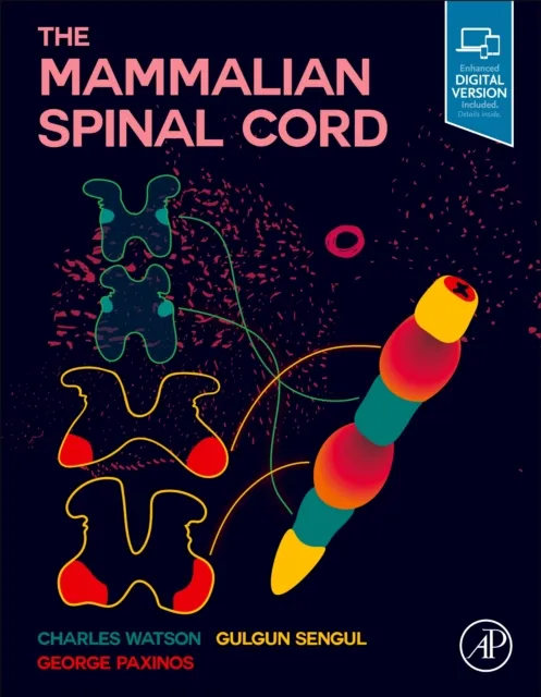 Mammalian Spinal Cord