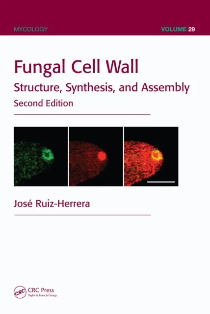 Fungal Cell Wall