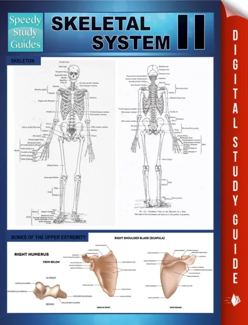 Skeletal System II (Speedy Study Guides)
