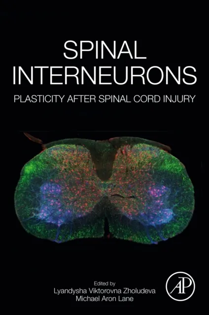 Spinal Interneurons