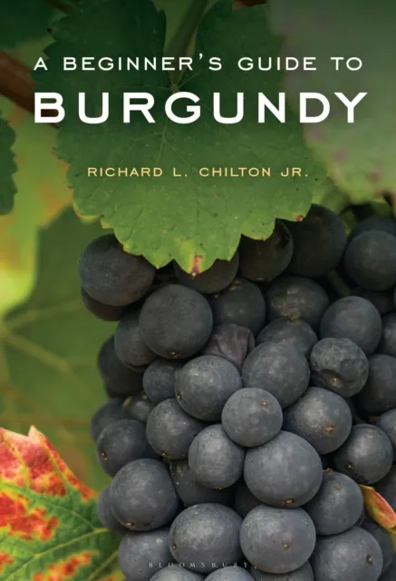 Beginner's Guide to Burgundy