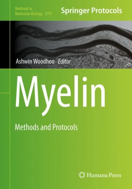 Myelin