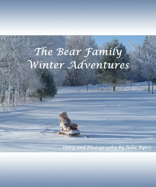 Bear Family Winter Adventures