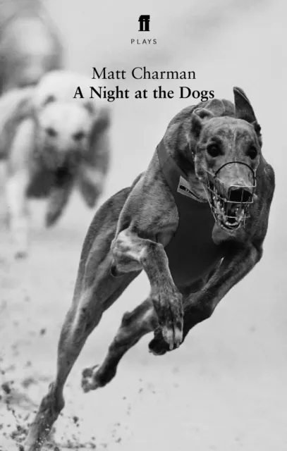 Night at the Dogs