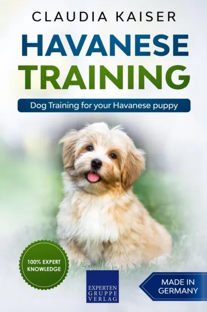 Havanese Training: Dog Training for Your Havanese Puppy