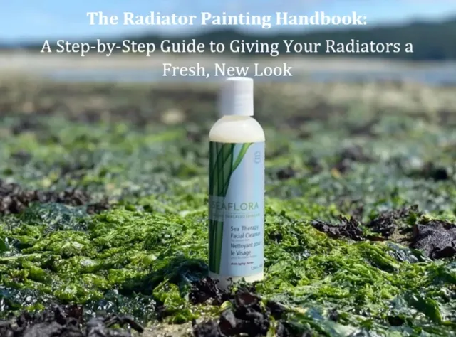 Seaweed Skincare Secrets: A Complete Guide to Radiant, Youthful Skin