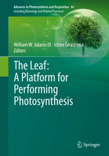 Leaf: A Platform for Performing Photosynthesis