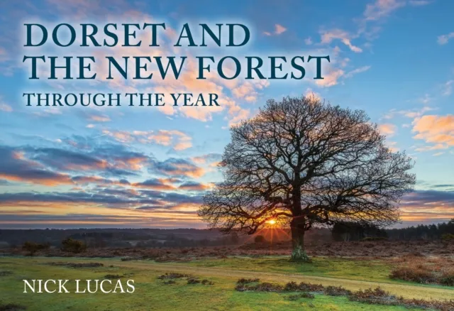 Dorset and the New Forest Through the Year