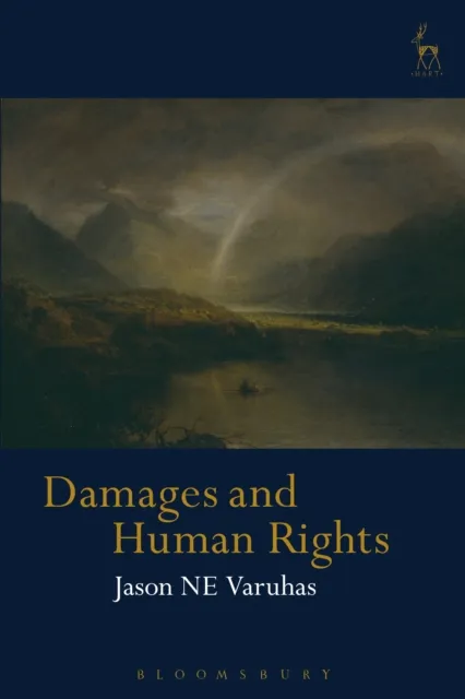 Damages and Human Rights