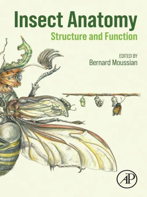 Insect Anatomy